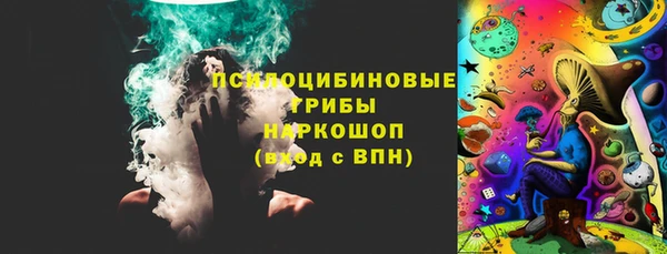шишки Армянск