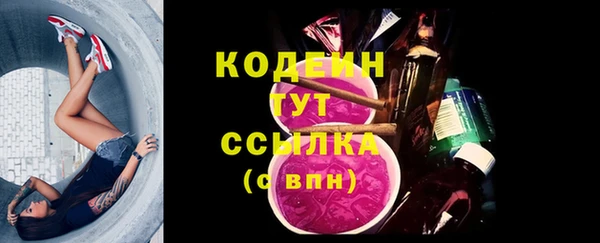 шишки Армянск