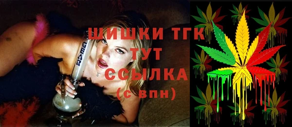 шишки Армянск