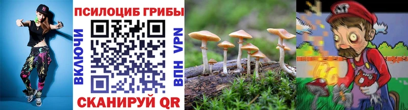 Галлюциногенные грибы Cubensis  Нефтекумск 